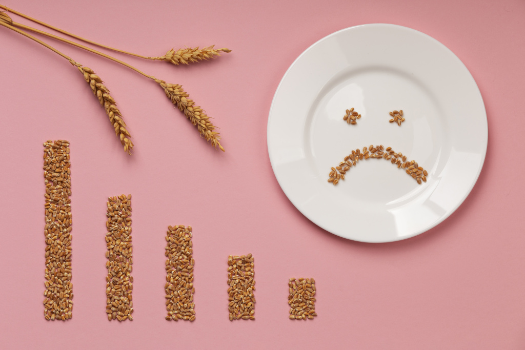 top-view-food-crisis-concept-with-plate.jpg top-view-food-crisis-concept-with-plate.jpg