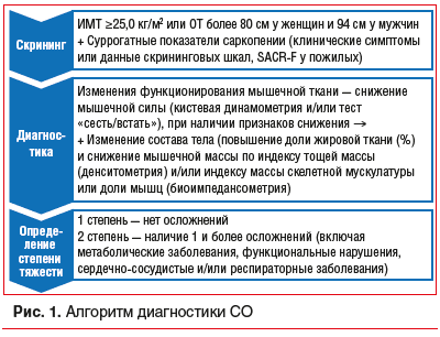 Sarkopenicheskoe-ozhirenie-u-patsientov-s-serdechno-sosudistymi-zabolevaniyami-skriningovoe-issledovanie-na.png