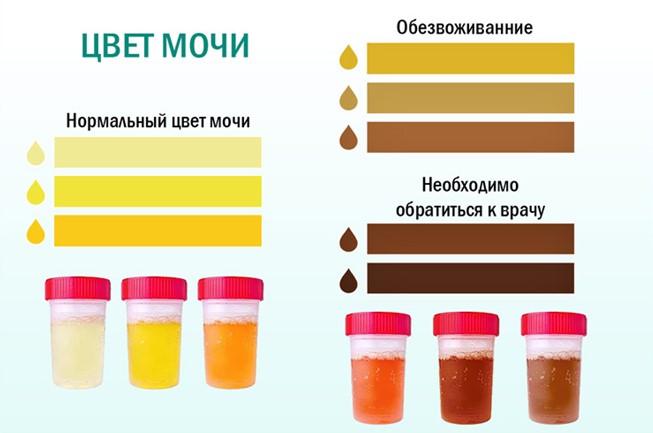 Снимок экрана 2026-07-23 144700.jpg